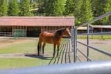 8850 Fernan Lake Rd - Photo 37