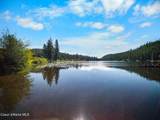 447 Beaver Lake Rd - Photo 51