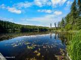 447 Beaver Lake Rd - Photo 52