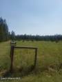 435 Dry Creek Rd - Photo 33