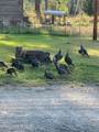 929 Irish Rd - Photo 48