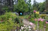 16691 Hollister Hills Dr - Photo 4