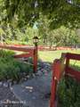 42303 Highway 200 - Photo 10