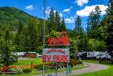 42303 Highway 200 - Photo 8
