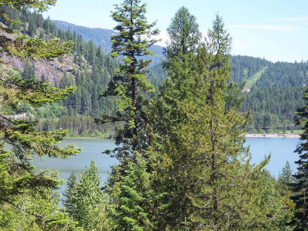 Lot 3 Buck Ridge - Photo 1