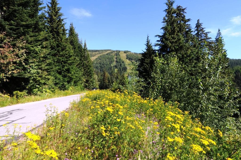 NNA Telemark Rd - Photo 1
