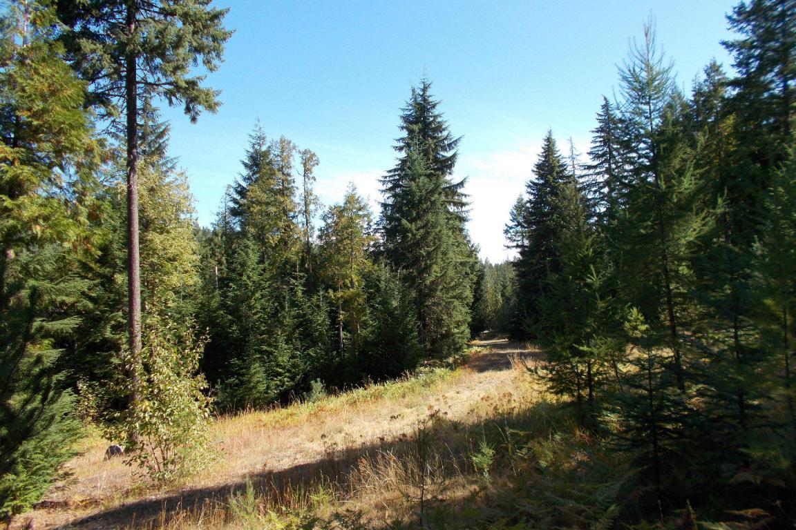 Lot 3 Off Lakeshore Drive - Photo 1