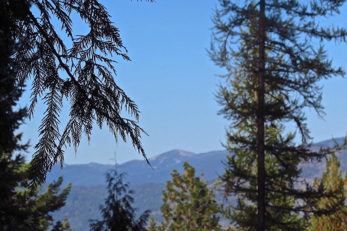 899 Less Traveled Rd. - Photo 1