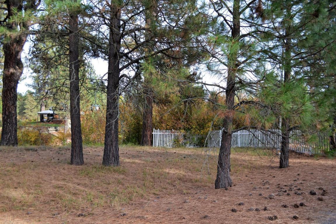 Lot 134 & Lot 135 Skookum Rv - Photo 1