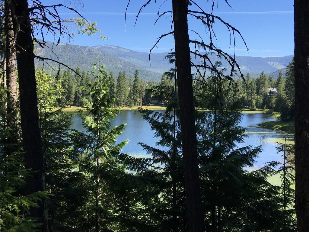 NNA Muskrat Lake Rd - Photo 1