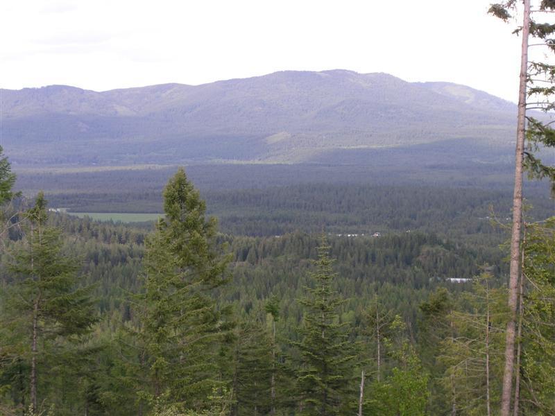 NNA Hidden Valley Rd - Photo 1