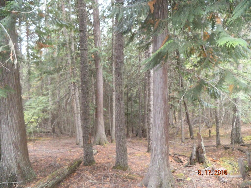 Middle Fork Santa Creek Road - Photo 1
