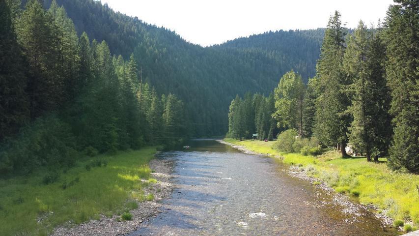 Lot 30 Nf Cda River Cabin Sites - Photo 1