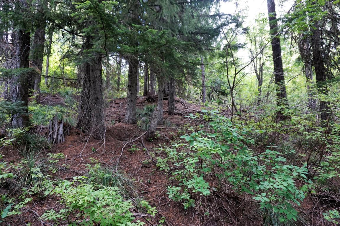 NNA Parallel Run Lot 8 - Photo 1