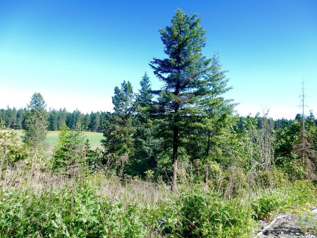 L2 Upper Hayden Lake Rd - Photo 1