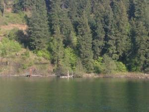 Lot 6 Catamaran Drive - Photo 1