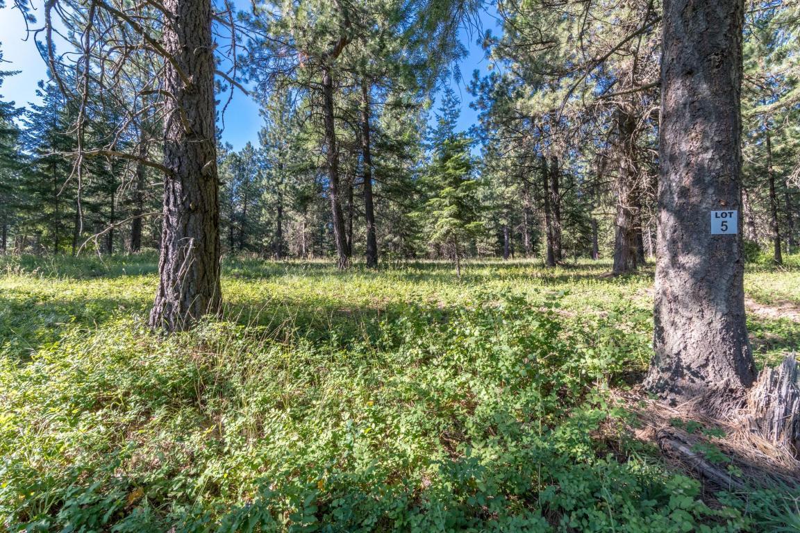 NKA Spring Drive (Lot 5) - Photo 1