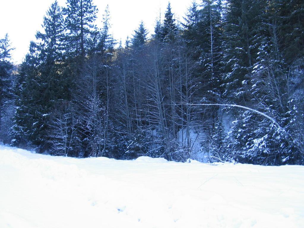 St. Elmo Mine Rd. - Photo 1
