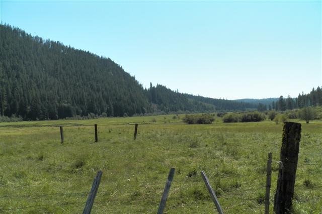 7658 Meadow Creek Rd - Photo 1