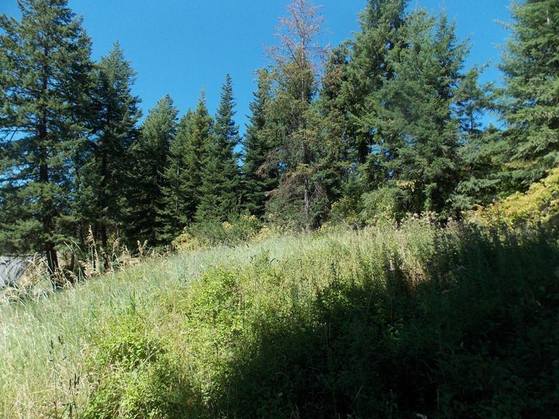 6929 E Shiras Rd - Photo 1