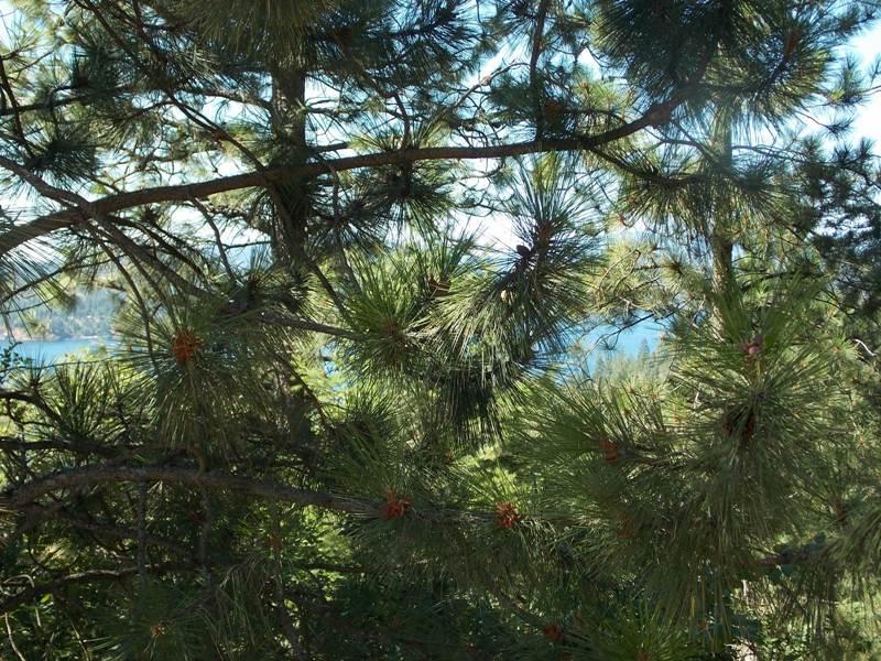 6618 Shiras Road - Photo 1