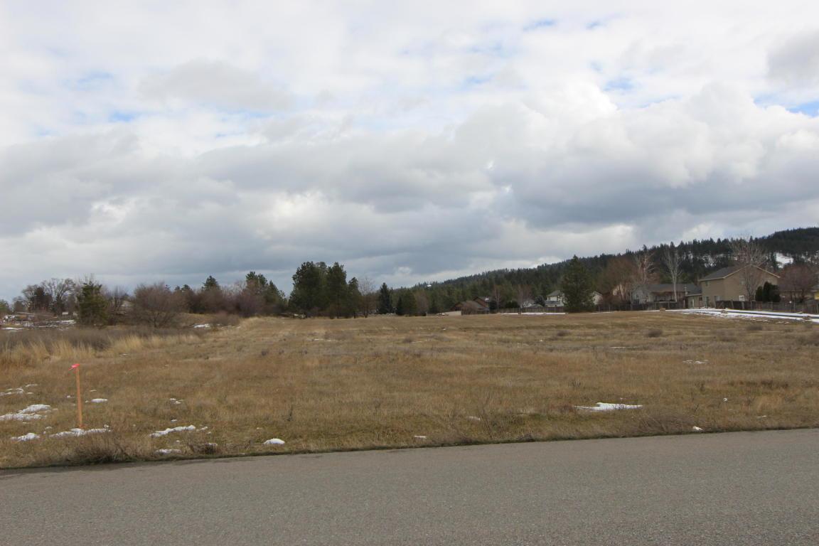 NNA Pleasant View Rd - Photo 1