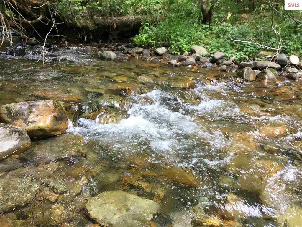 NAA Trestle Creek Road - Photo 1