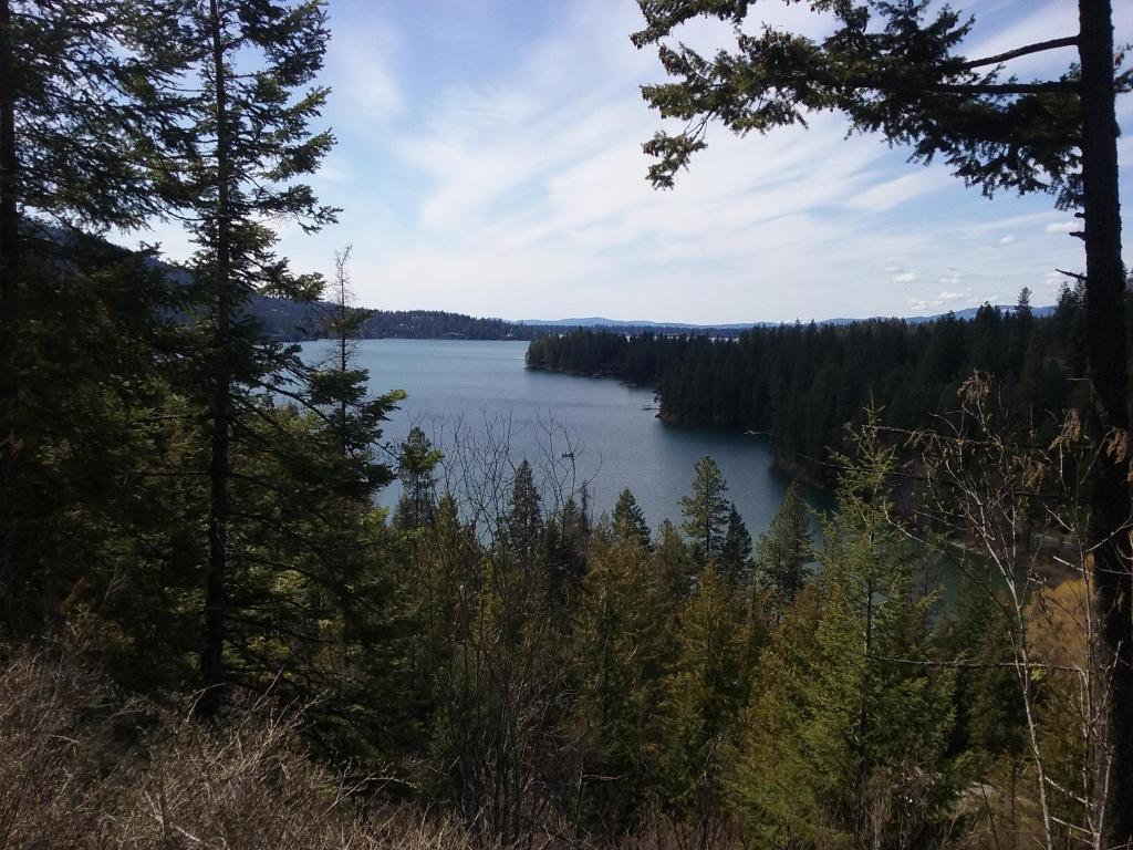 13250 Hayden Lake Dr - Photo 1