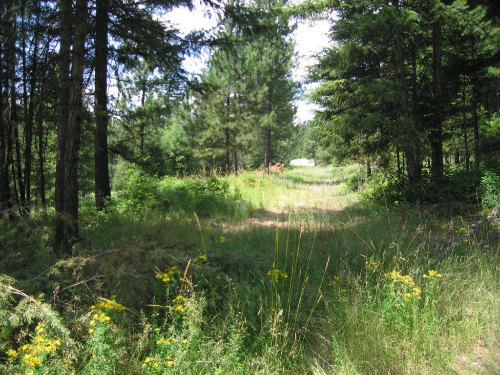 L1B4 Roanoak Rd - Photo 1