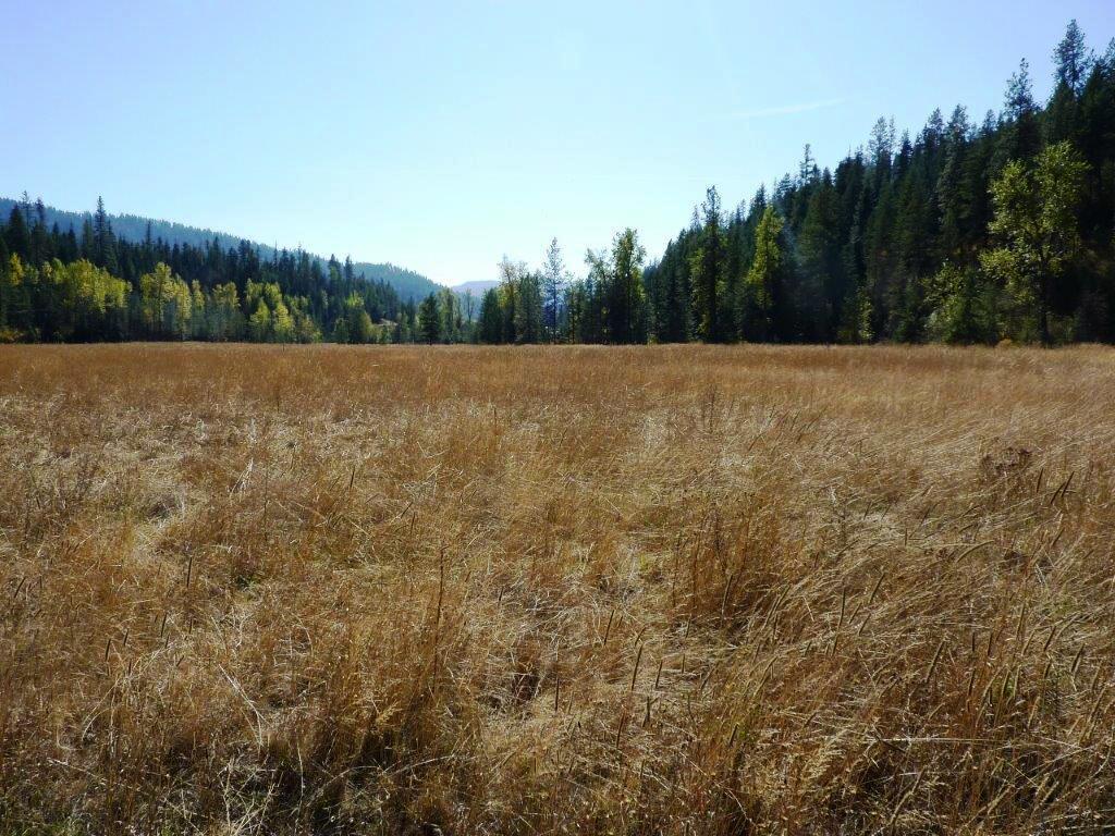 4 Stella Creek Rd - Photo 1