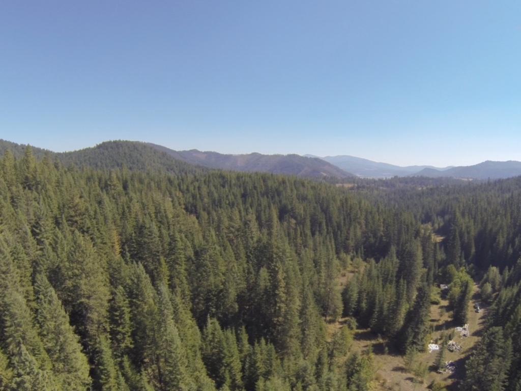 17511 Ash Rd - Photo 1