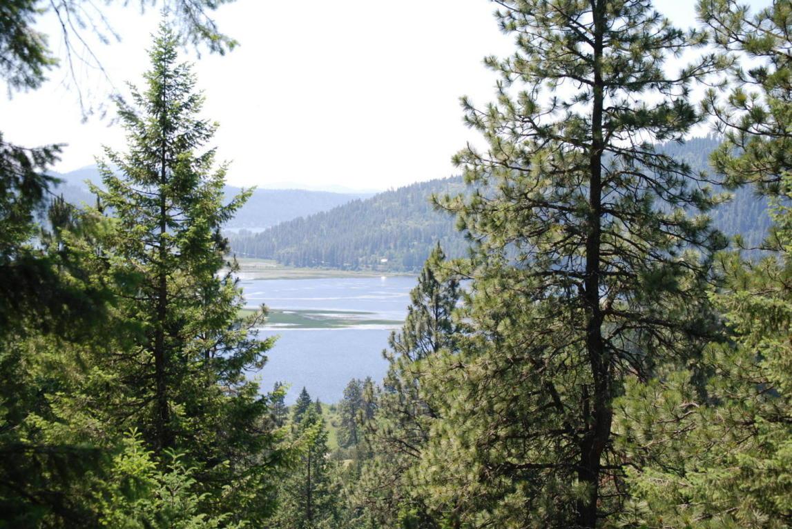 NKA Blue Lake Rd - Photo 1