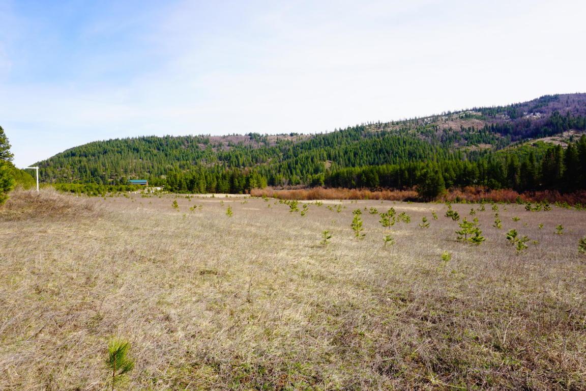 Nna Blanchard Loop Rd - Photo 1