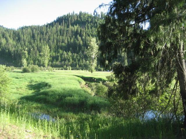 Lot 5 Old Railroad Grade Rd - Photo 1