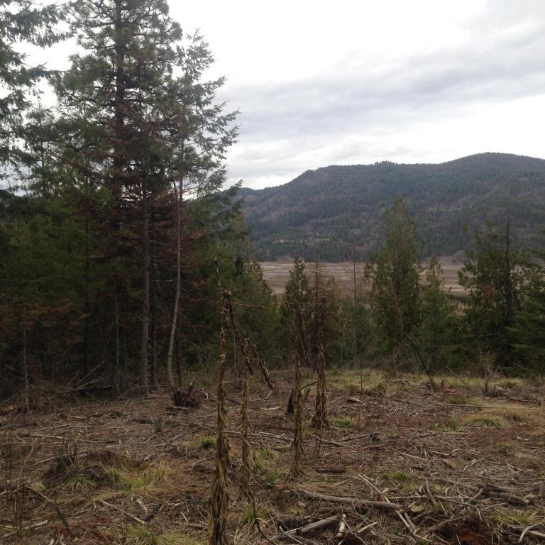 nna Deer Ridge Rd. - Photo 1
