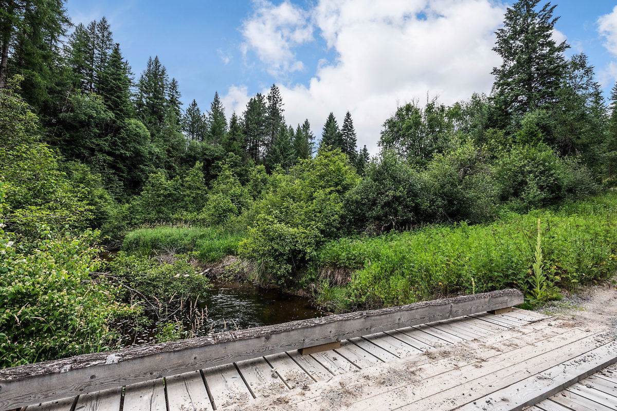 253 Shiloh Loop - Photo 1