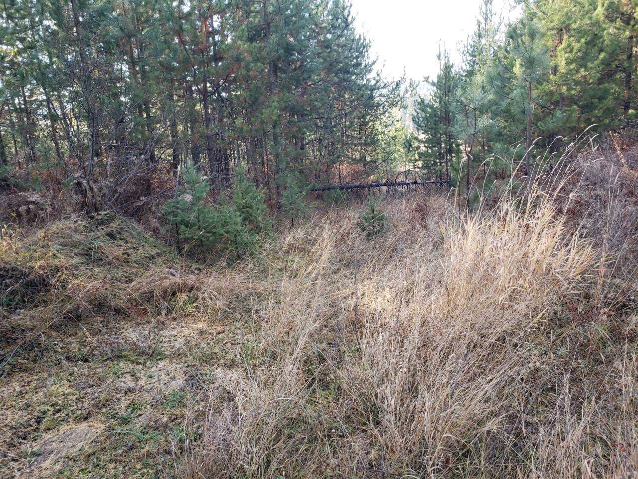 NKA Sunset Hill Rd - Photo 1