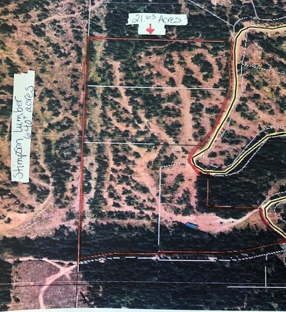 21.63 Acre Santa Marie Wood Loop Dr. - Photo 1