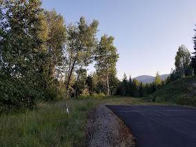 1314 Saddleback Drive - Photo 1