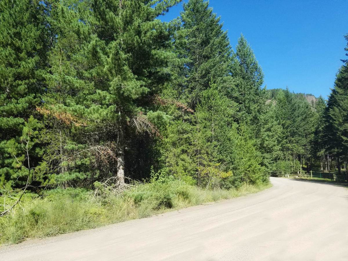 16 Bear Claw Rd - Photo 1