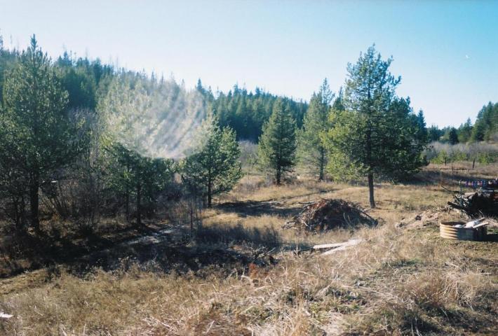 NNA Vernon Lane - Photo 1