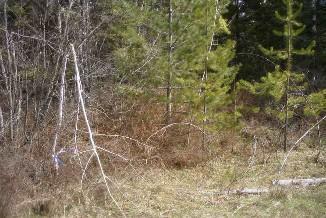 Lot 9 Wildwood Shores - Photo 1