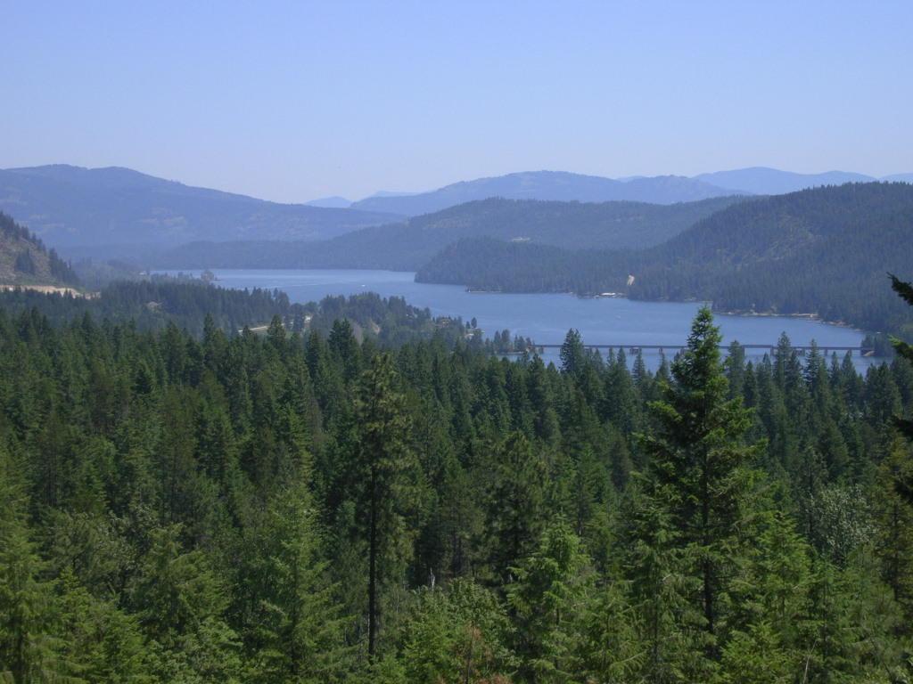 Nna Lot 4 Eagle View - Photo 1
