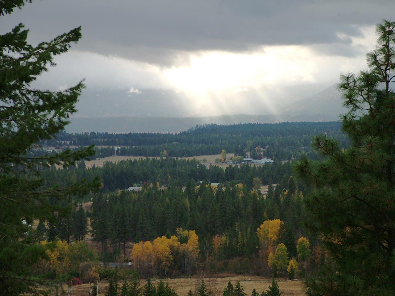 LOT 21 Pintail Dr - Photo 1
