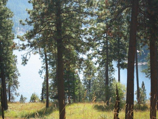 Lot 19 Cordillera St - Photo 1