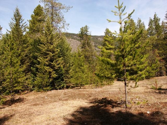 529503 Hwy 95 - Photo 1