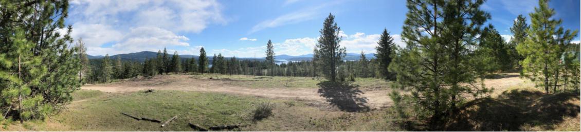 Mullan Trail Rd - Photo 1