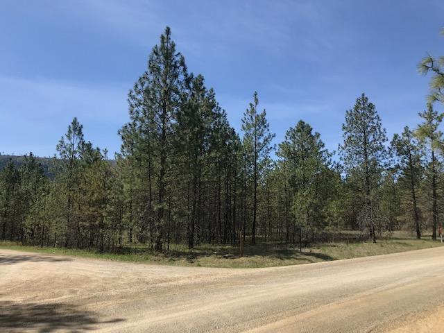 NKA Blanchard Valley Lot 13 Farms - Photo 1
