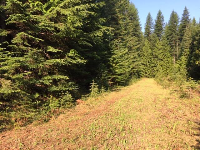 NNA Toad Rd. (400) - Photo 1