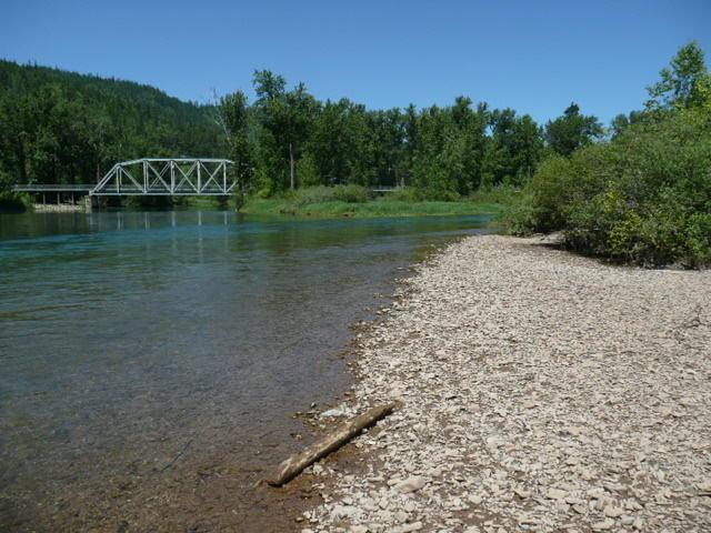 1145 Lot 1 Coeur D'alene River Rd - Photo 1